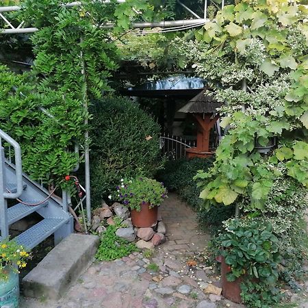 Pension Am Buhnenkopf Tangermünde Εξωτερικό φωτογραφία